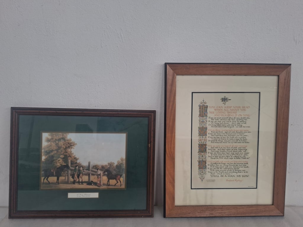 Framed Artworks(2)