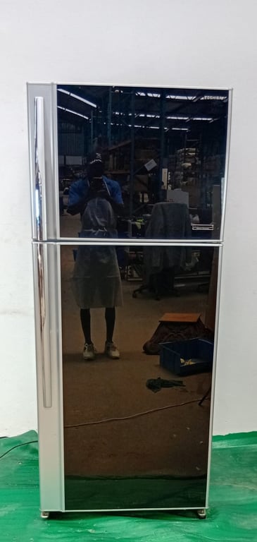 Toshiba Mirror Fridge