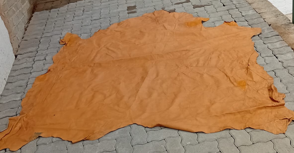 Leather Hide