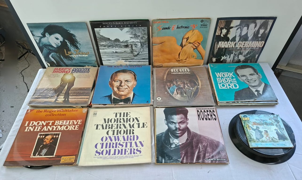 Collection of Assorted Vinyl Records (LPs)