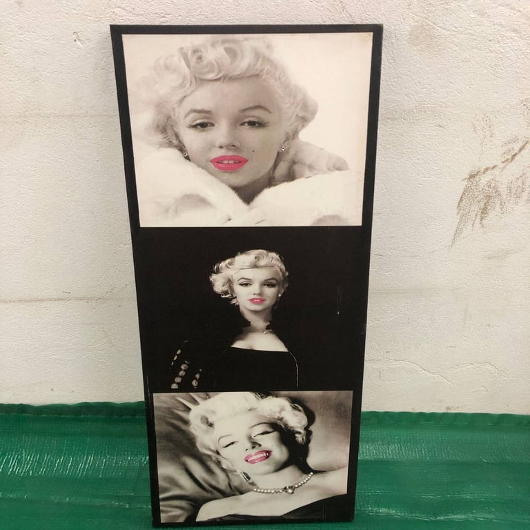 Canvas Prints (4)