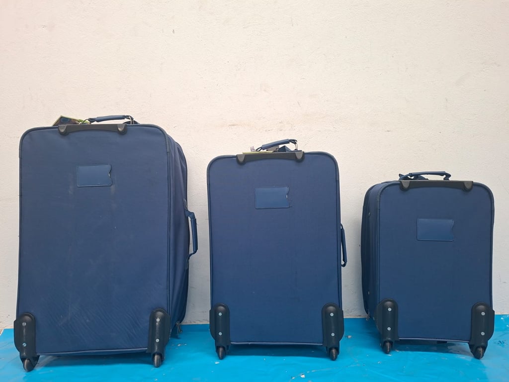 Three Soft-Shell Travel Suitcases (WAP)