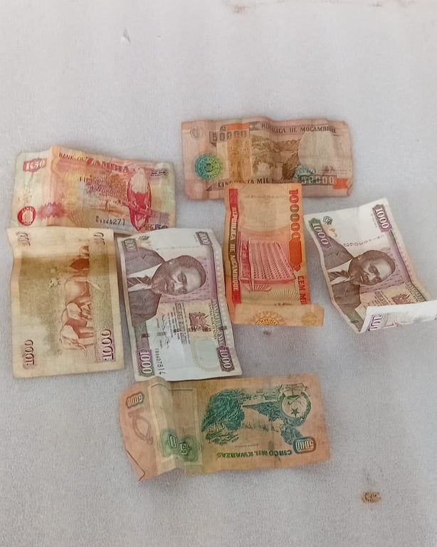 Collection Of Different Countries Banknotes