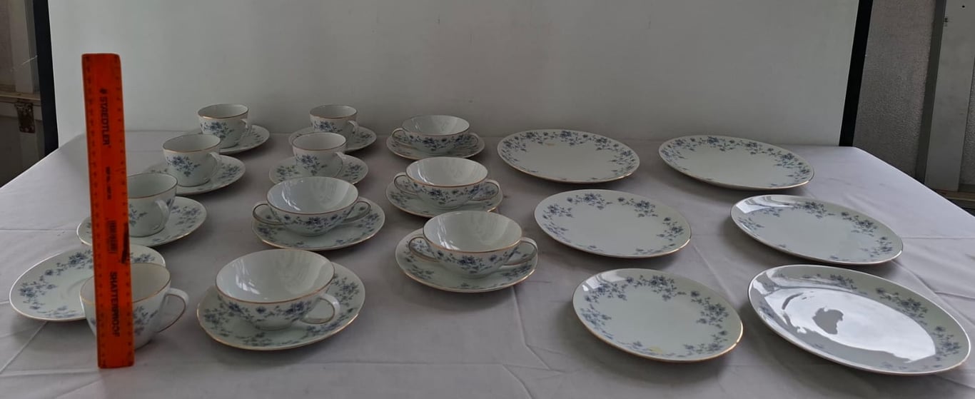 Thomas (Germany) Porcelain Tea Set