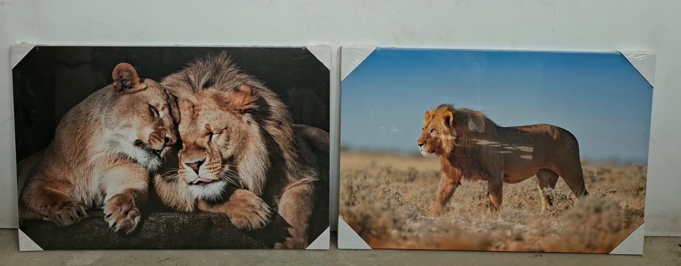 Lion-Themed Canvas Prints,