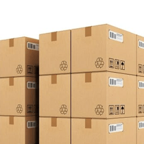 first bid test