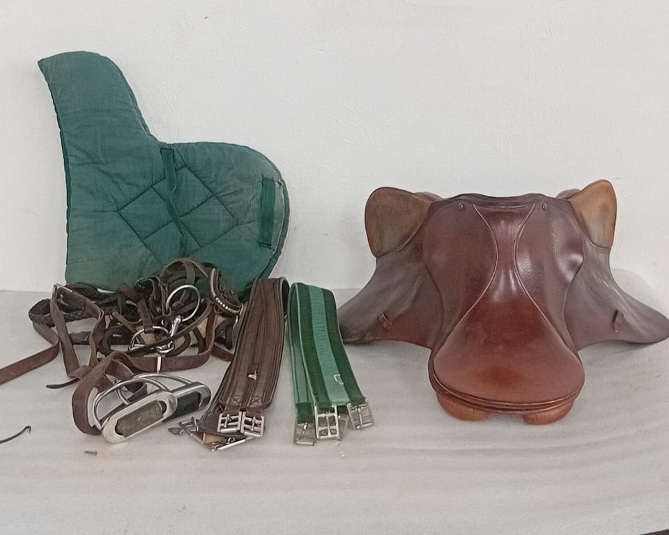 Horse Riding Tack Lot – Saddle & Accessories