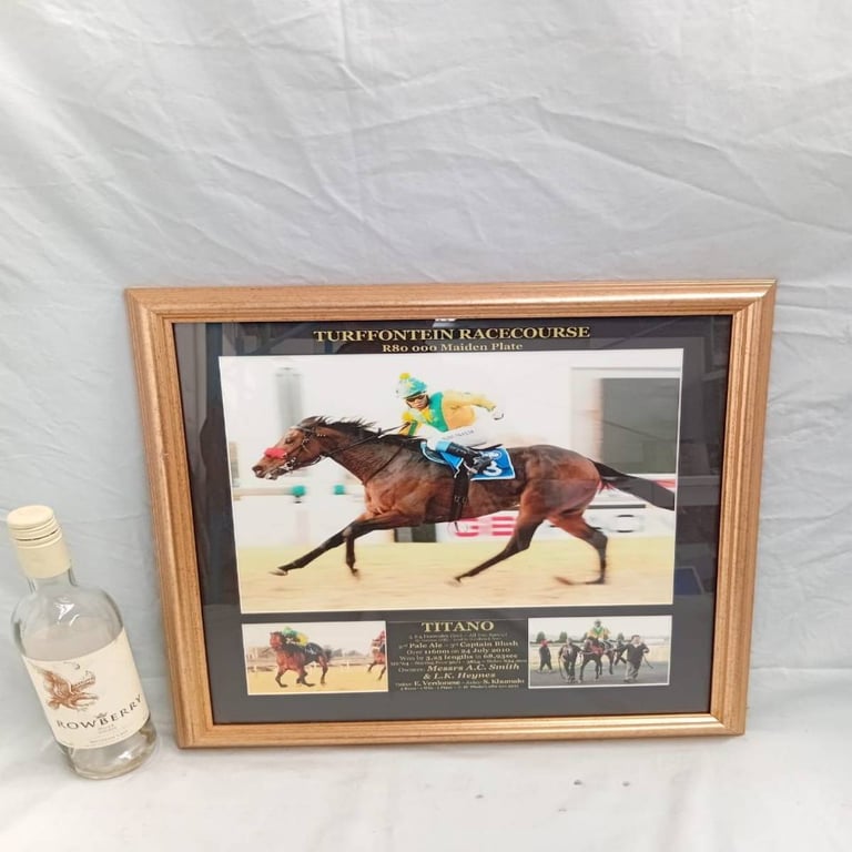 Joblot Of Framed Horse Racing Prints (7)