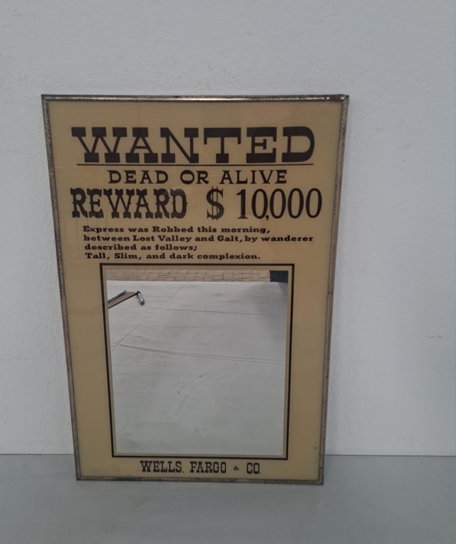 Wells Fargo Dead/Alive Wanted Mirror
