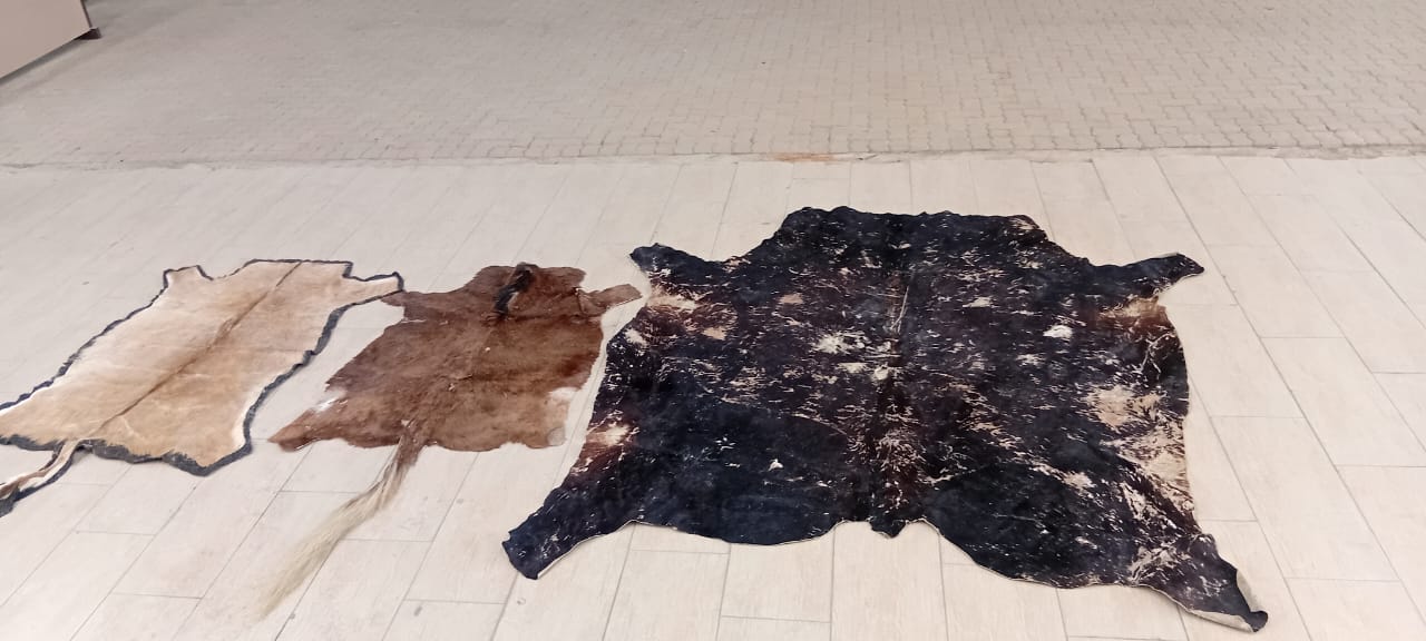 Collection Of Cowhides(3)