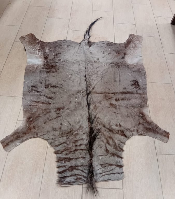 Blue Wildebeest Hide