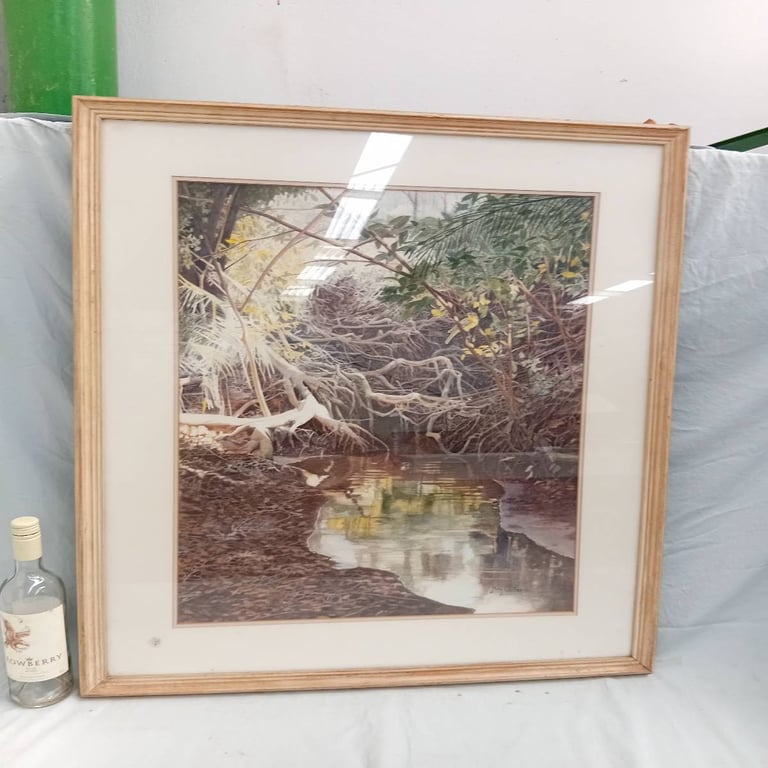 Joblot of framed Nature prints & Paintings (9)