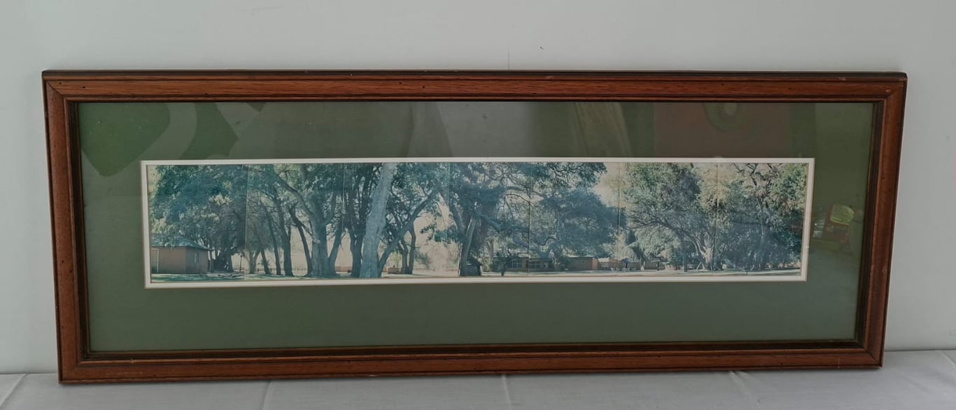 Framed Panoramic Landscape Print