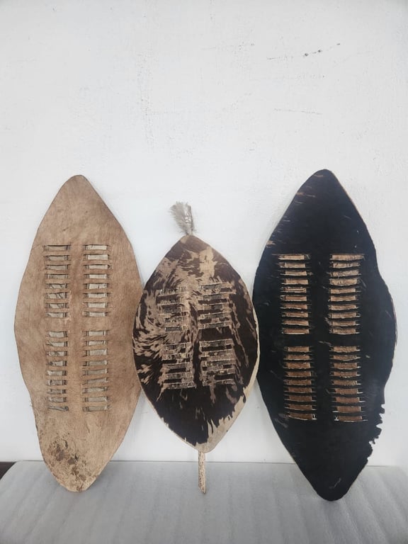 Lot of (3) African Shields