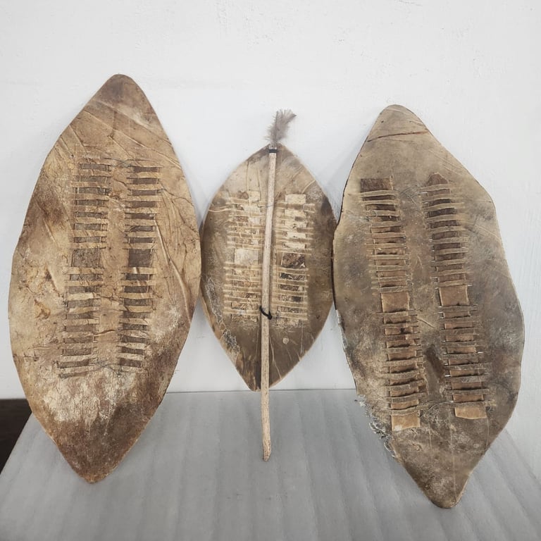 Lot (3) African Shields