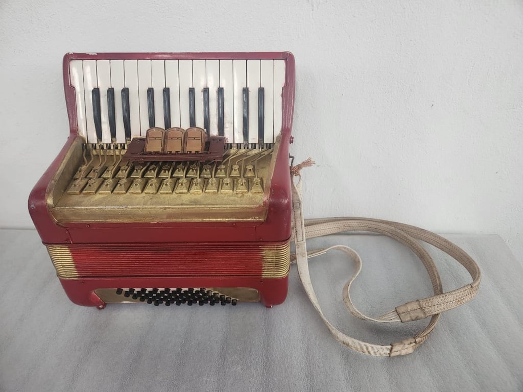 Hohner Concerto like accordion