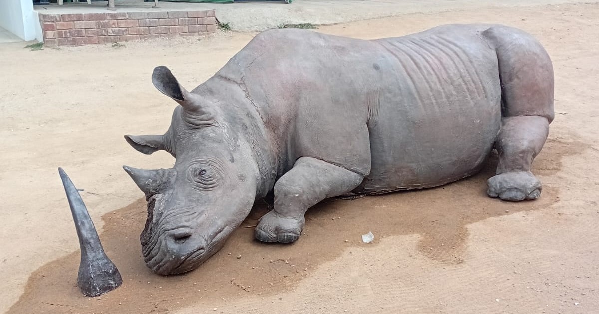 Life Size Rhino Movie Prop (UAP)