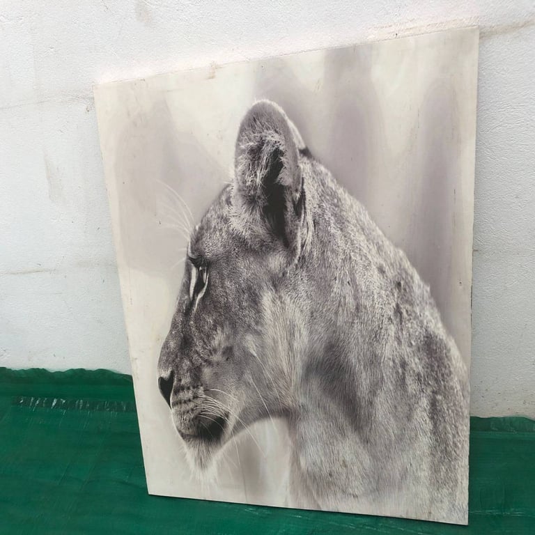 Canvas Print