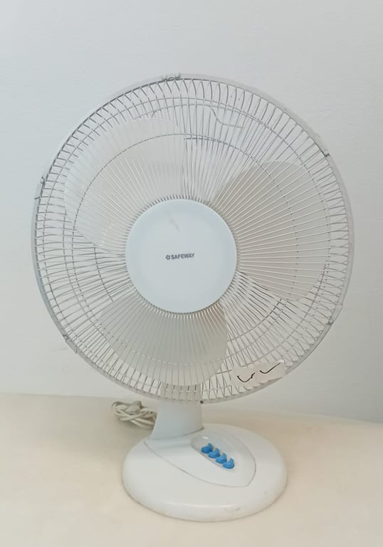 Safeway Desk Fan