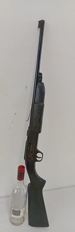Grizzly Pellet Gun