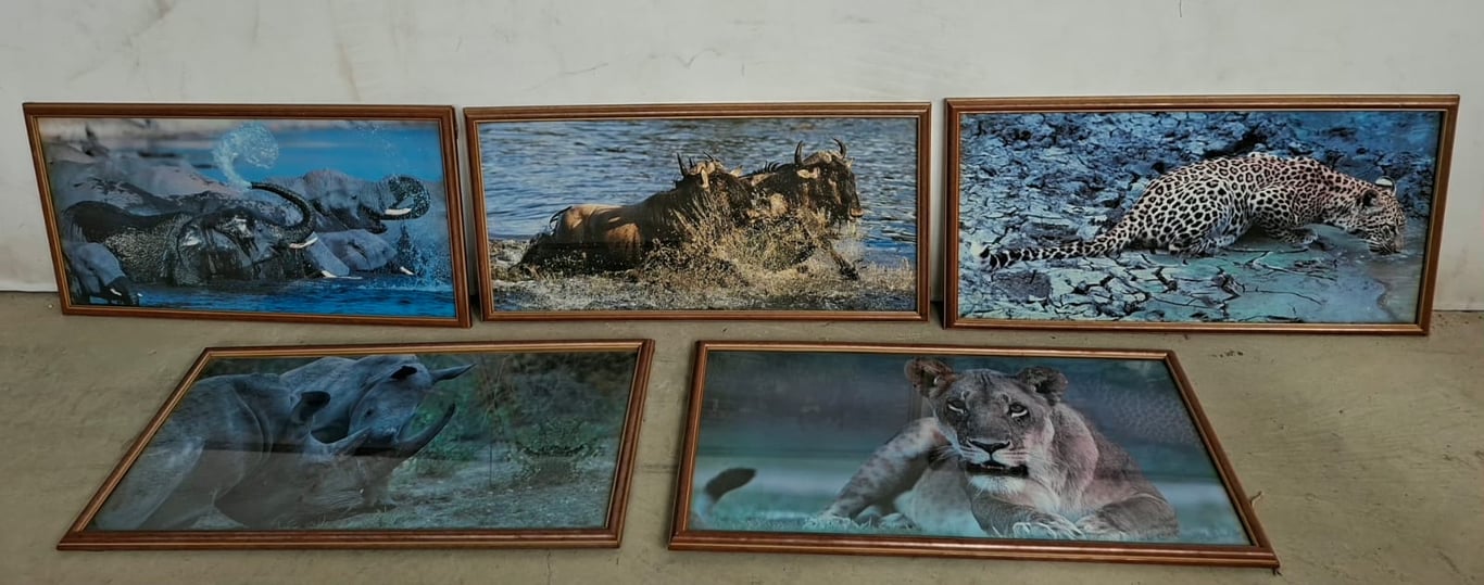 Set of Five Framed African Wildlife Prints