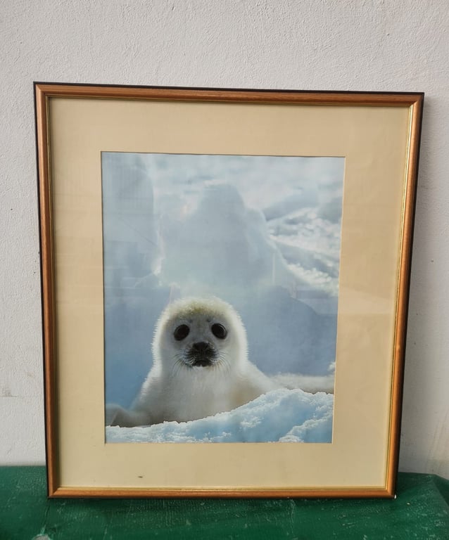 Framed Print