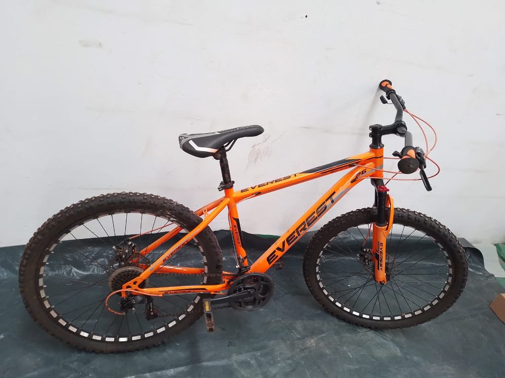Everst Bicycle