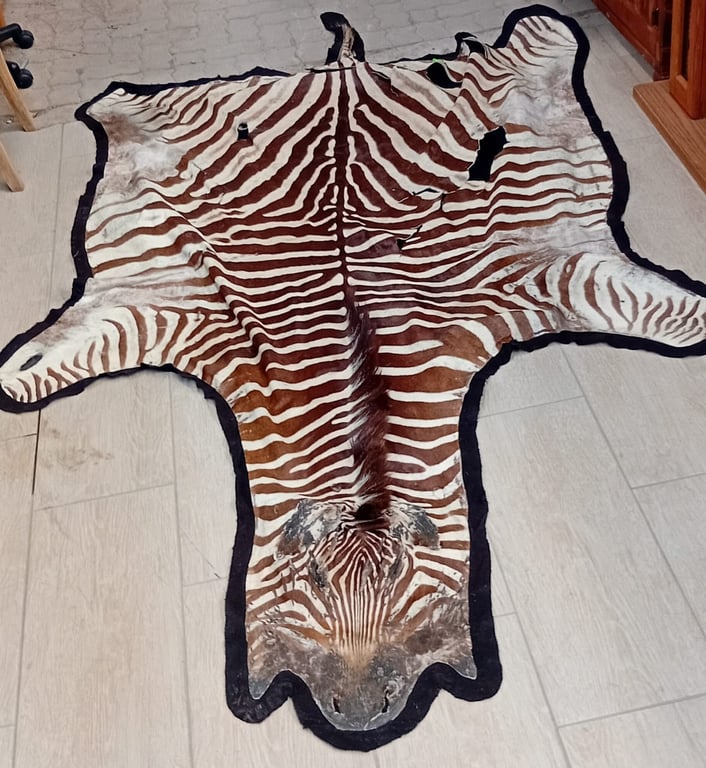 Zebra Hide