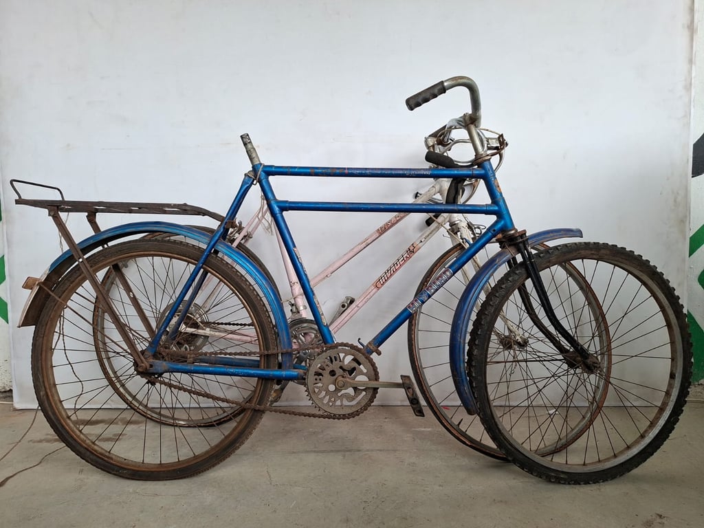 Pair of Vintage Roadster Bicycles