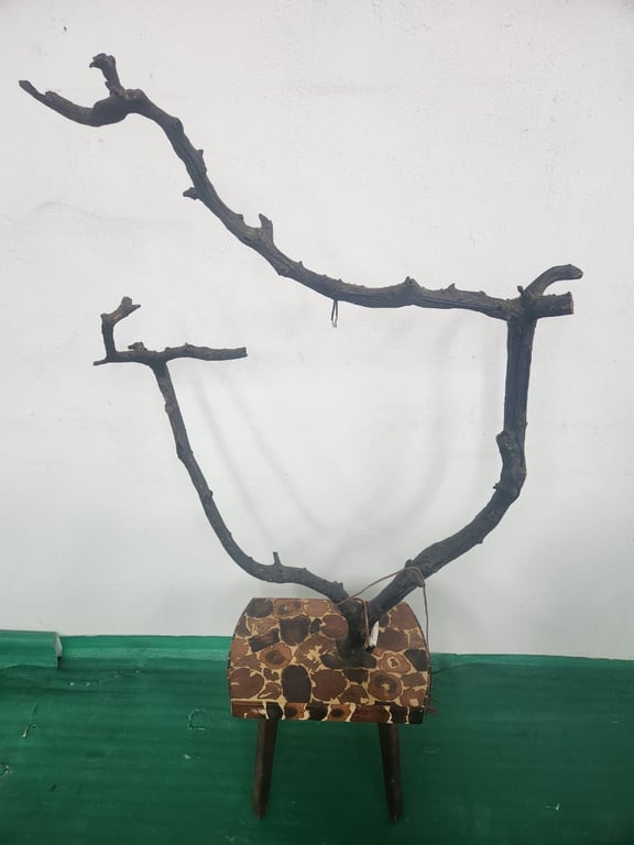 "Branch" light on Table