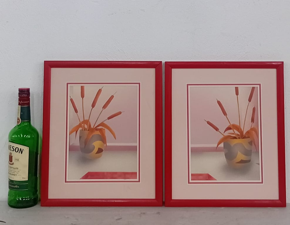Stylish pair of framed contemporary art prints