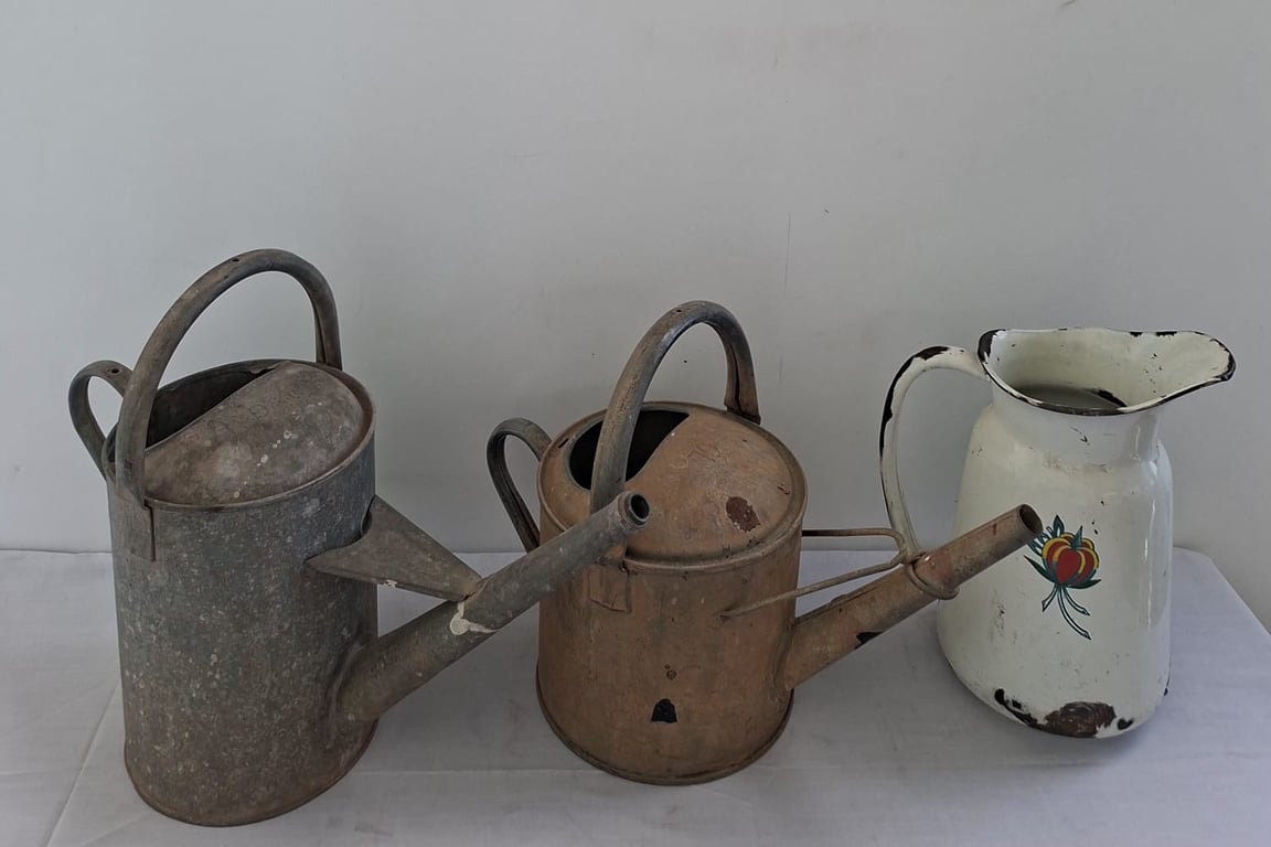 Collection of Vintage Watering Cans