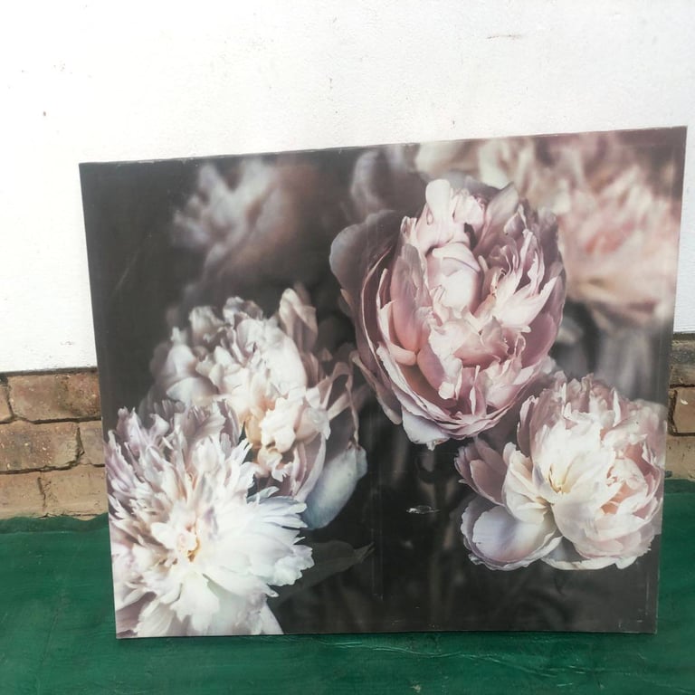 Canvas Wall Art