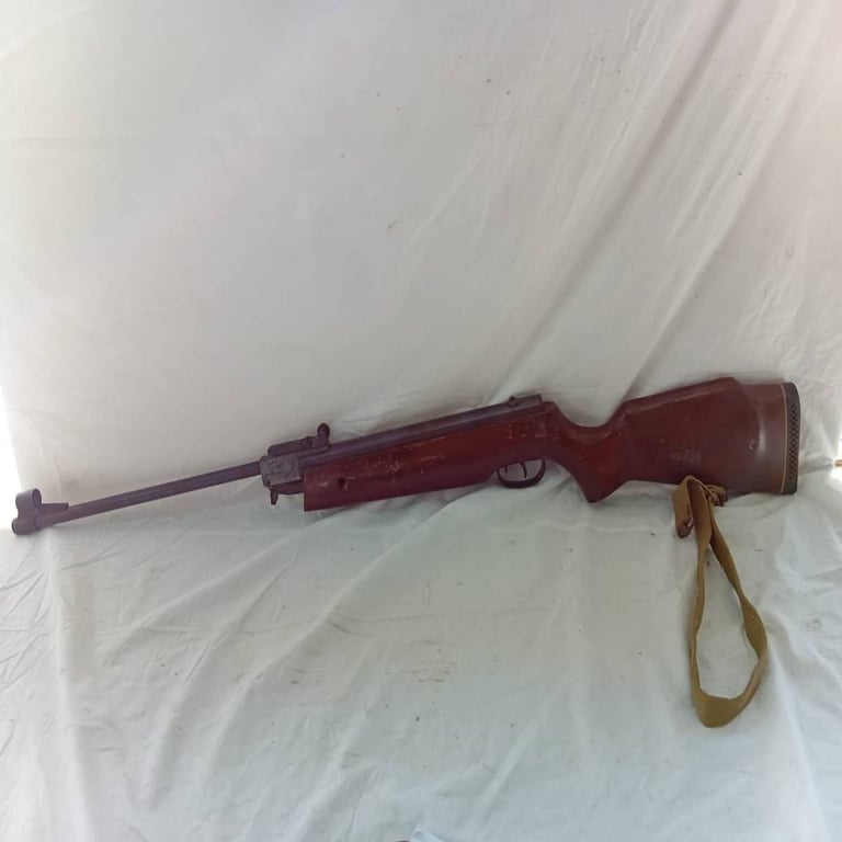 Vintage Pellet Gun