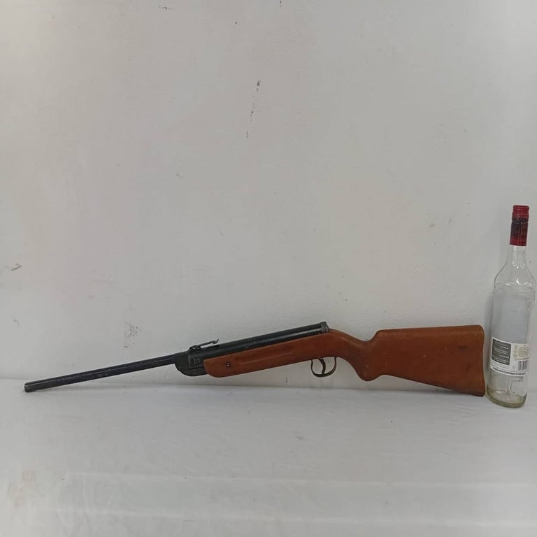 Vintage Pellet Gun