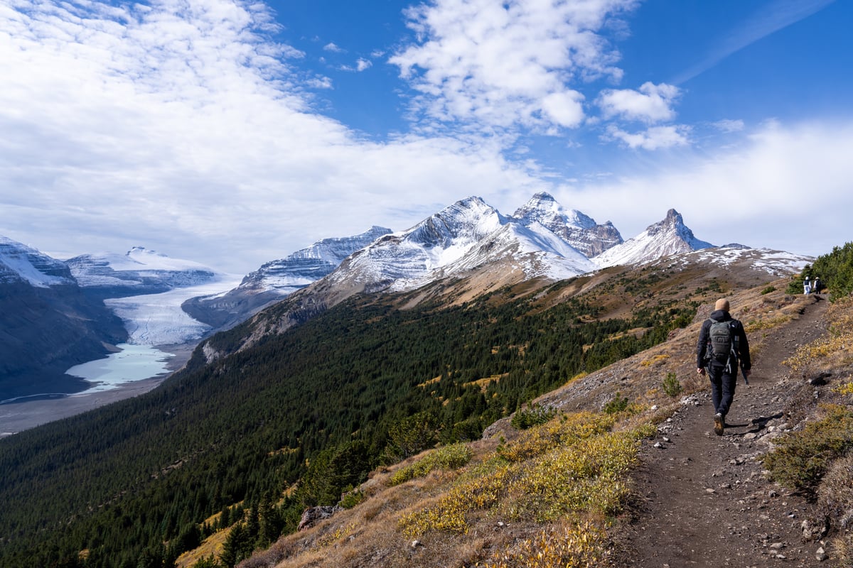 Ontdek de Icefields Parkway in Canada via deze stops en hikes | De ...