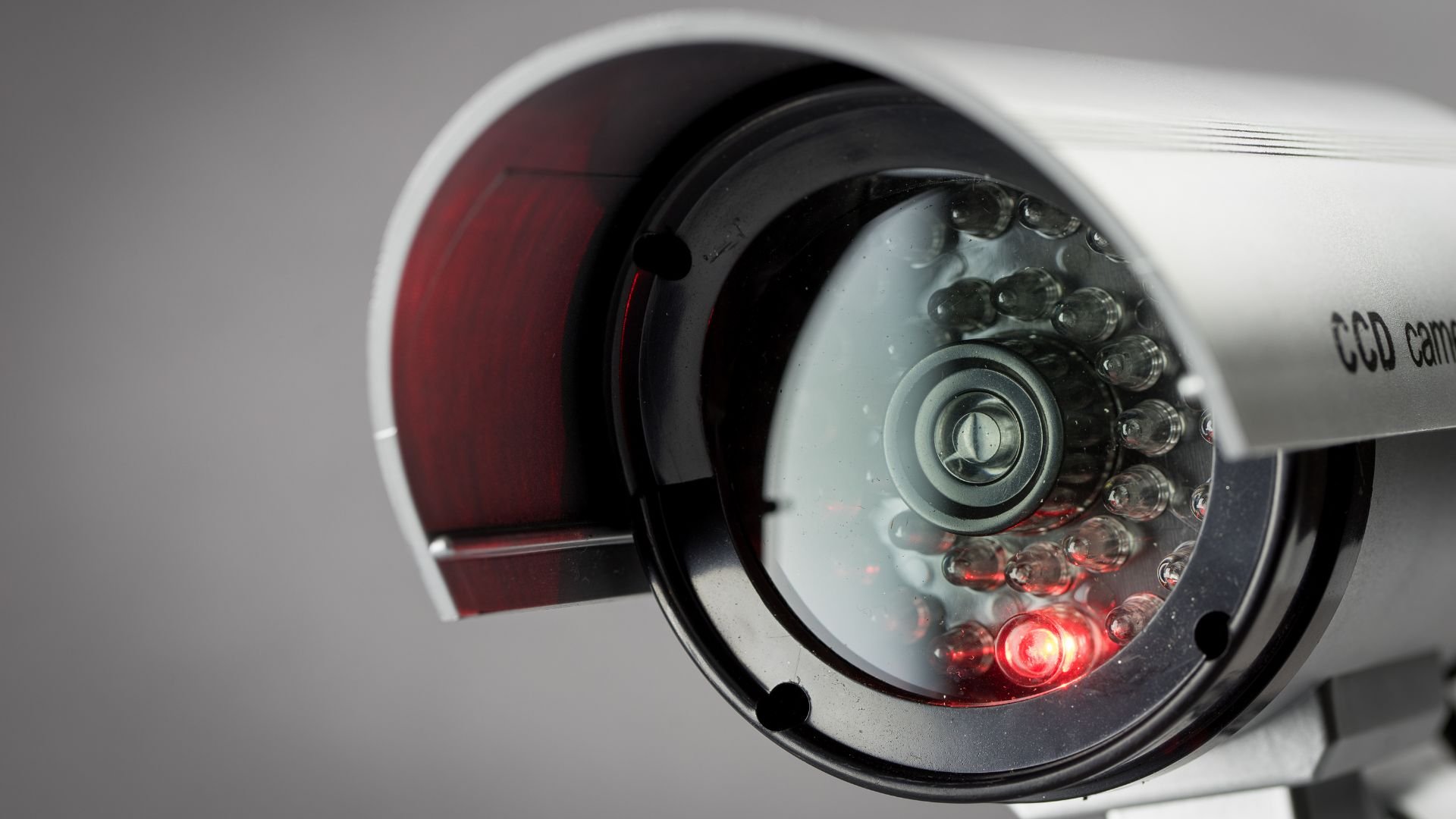 ip vs analog security cameras in new york