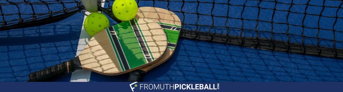 The Top 10 Pro Pickleball Players in the World blog post cover image