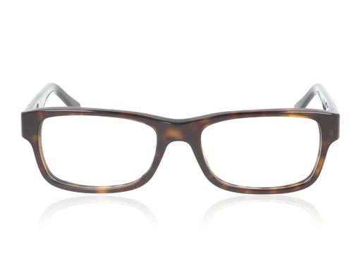 Picture of Ray-Ban 0RX5268 2012 Havana Glasses