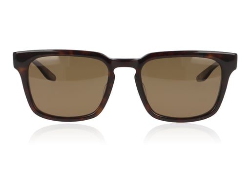 Picture of Barton Perreira Hamilton DAW Dark Walnut Sunglasses