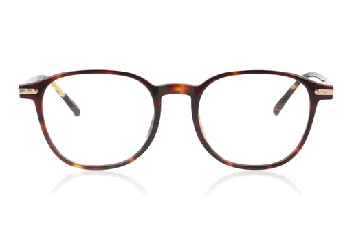 Picture of Linda Farrow Arnold C2 Tortoise Glasses