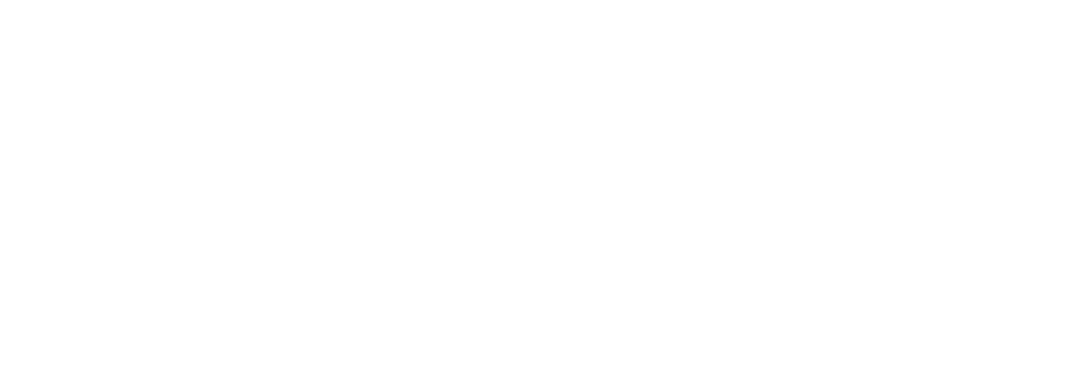 Logo for Paygasus LLC