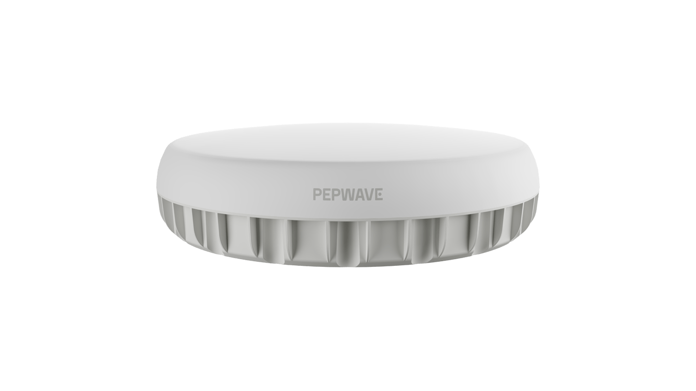 Front view of the Peplink Antenna MAX Duo dual-router outdoor antenna enclosure for cellular, Wi-Fi and GPS.