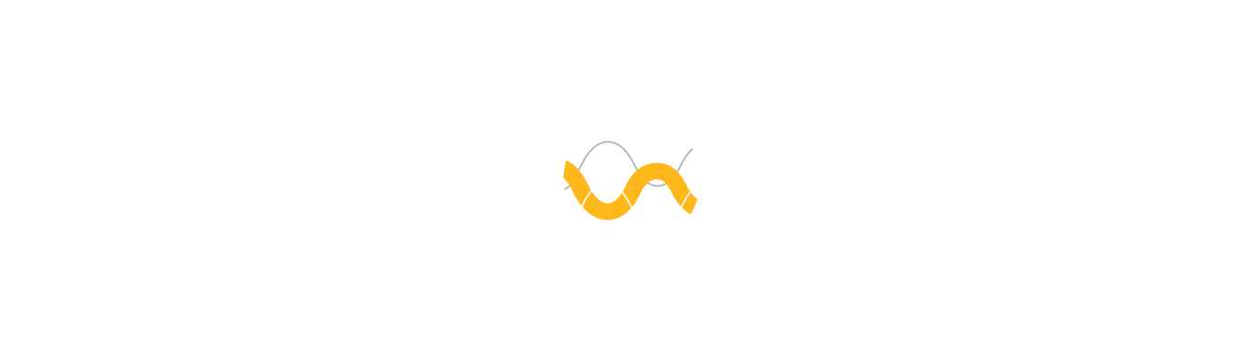 Peplink SpeedFusion bonding multiple WAN connections into one unified network.