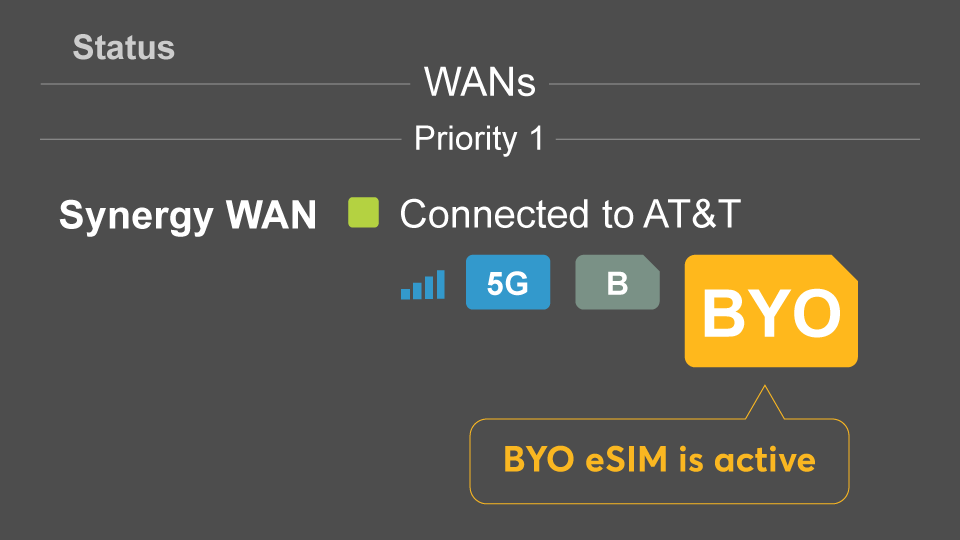 Peplink dashboard showing Synergy WAN connected via BYO eSIM to AT&T.
