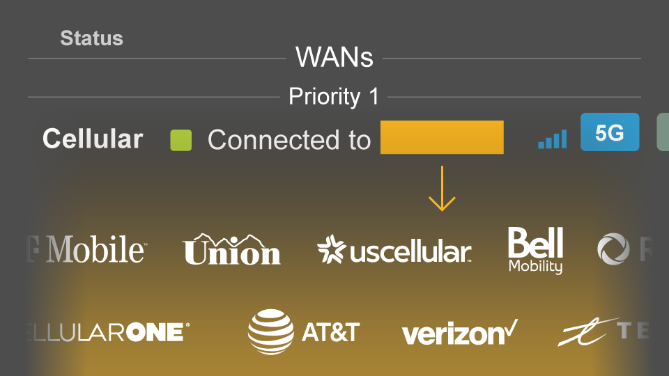Peplink dashboard displaying active carrier name for a cellular eSIM connection.