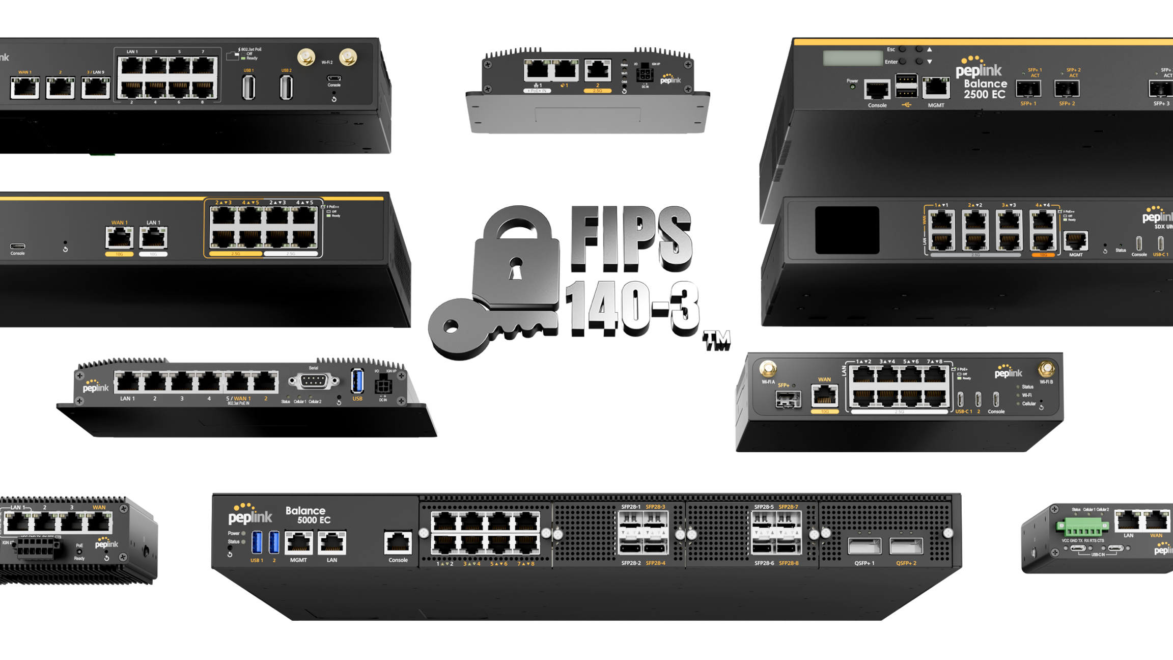 Grid of Peplink router back panels with FIPS 140-3 certification badge.