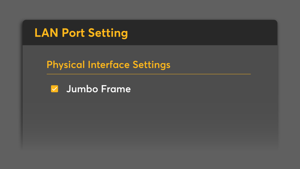 Peplink LAN port settings with jumbo frame option enabled.