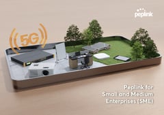 Peplink for Small and Medium Enterprises (SMEs) Brochure Cover