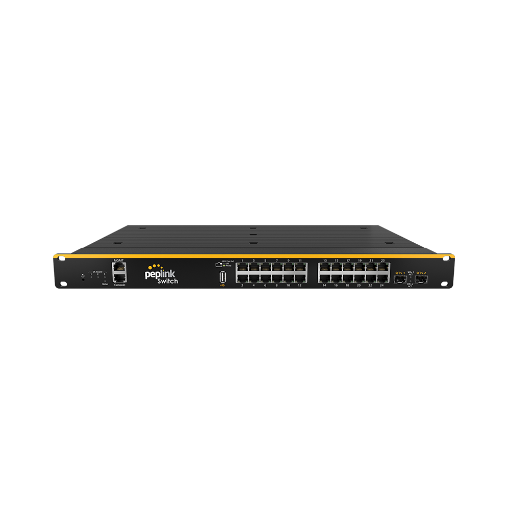 SD Switch 24-Port Rugged Image